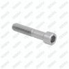 Caliper Pin Bolt