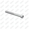 Caliper Pin Bolt
