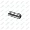 Caliper Pin