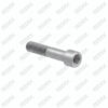Caliper Pin Bolt