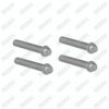 Caliper Bolt Kit