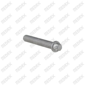 Caliper Bolt