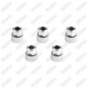 Caliper Adjusting Nut Kit