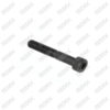 Long Bolt