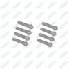Caliper Cover Bolt Kit