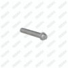 Caliper Pin Bolt