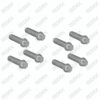 Caliper Cover Bolt Kit