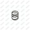 Caliper Adjusting Gear Spring