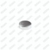 Caliper Pin Cap
