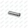 Caliper Pin