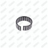 Caliper Eccentric Shaft Central Bearing