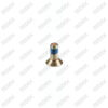 Caliper End Plate Bolt