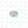 Caliper End Plate Cap