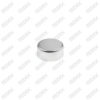 Caliper Pin Cap