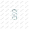 Mechanism Friction Spring