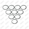 Caliper Spline Shaft Calibration Ring Set