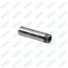 Caliper Pin