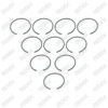 Caliper Spline Shaft Circlip Set