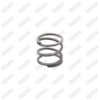 Caliper Mechanism Gear Spring