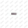 Adjuster Bolt