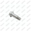Caliper Carrier Fixing Bolt