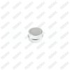Caliper Pin Cap