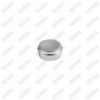 Caliper Pin Cap