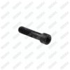 Caliper Pin Bolt