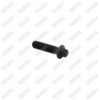 Caliper Head Bolt