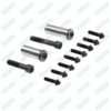 Caliper Pin Repair Kit