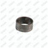 Mechanism Torsion Spring