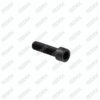 Caliper Head Bolt