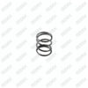 Caliper Lever Spring