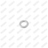 Caliper Mechanism Pin Washer