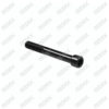 Caliper Pin Bolt