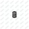 Caliper Shaft Housing Spring