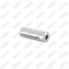 Caliper Pin