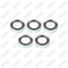 Caliper Adjusting Mechanism Shield Set