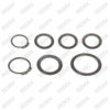 Caliper Adjusting Mechanism Washer Set