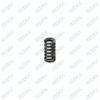 Caliper Adjusting Mechanism Spring