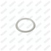 Caliper Cover Seal