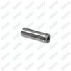 Caliper Pin