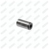 Caliper Pin