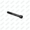 Caliper Pin Bolt