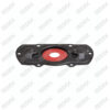 Caliper Cover