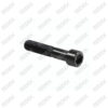 Caliper Pin Bolt