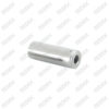 Caliper Pin