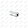 Caliper Pin