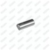 Caliper Lever Roller Bearing
