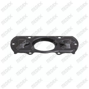 Caliper Cover